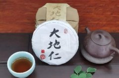 大地仁 · 古树普洱茶 | 5.21国际茶日
