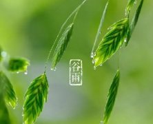谷雨|暮春,夏将至。